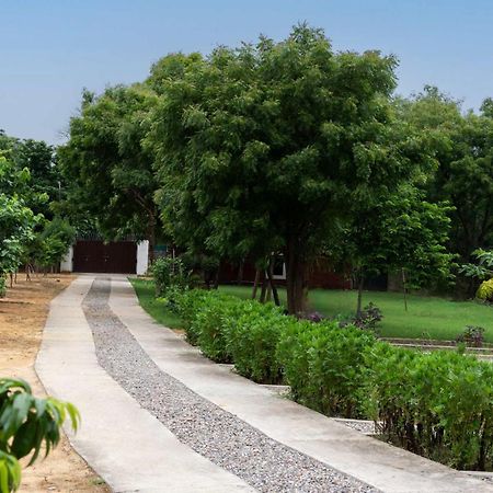Stayvista At Idyllic Farmhouse - A Glasshouse With Outdoor Pool Γκουργκάον Εξωτερικό φωτογραφία
