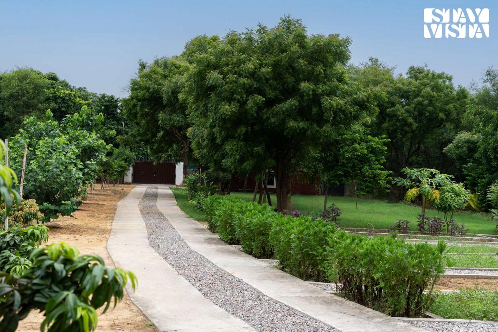 Stayvista At Idyllic Farmhouse - A Glasshouse With Outdoor Pool Γκουργκάον Εξωτερικό φωτογραφία